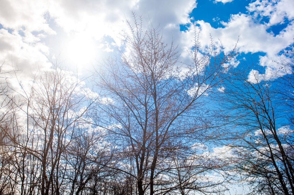 погода 3 марта