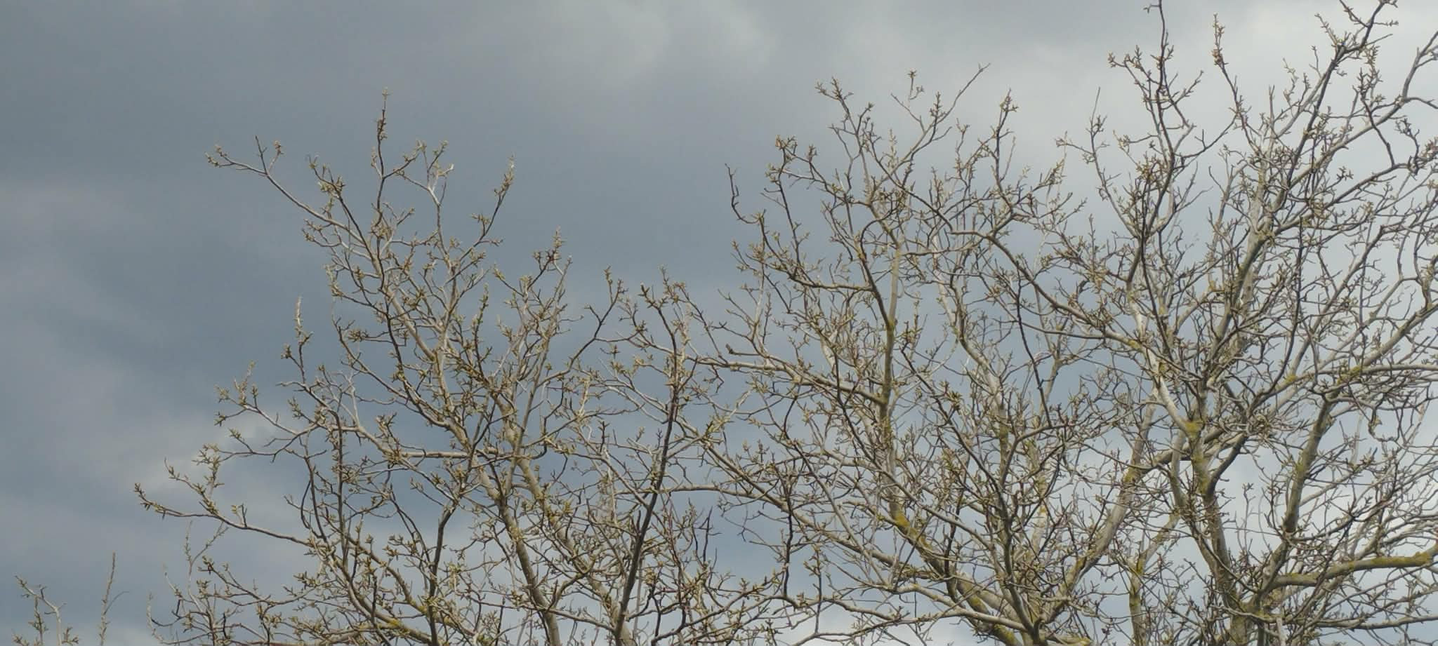 облачное небо