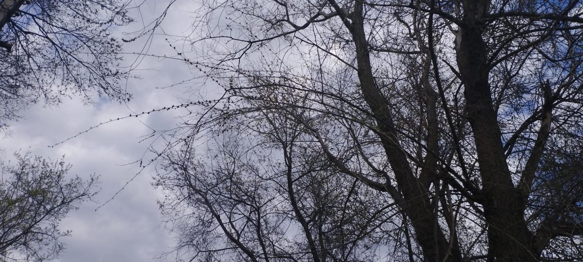 облачное небо