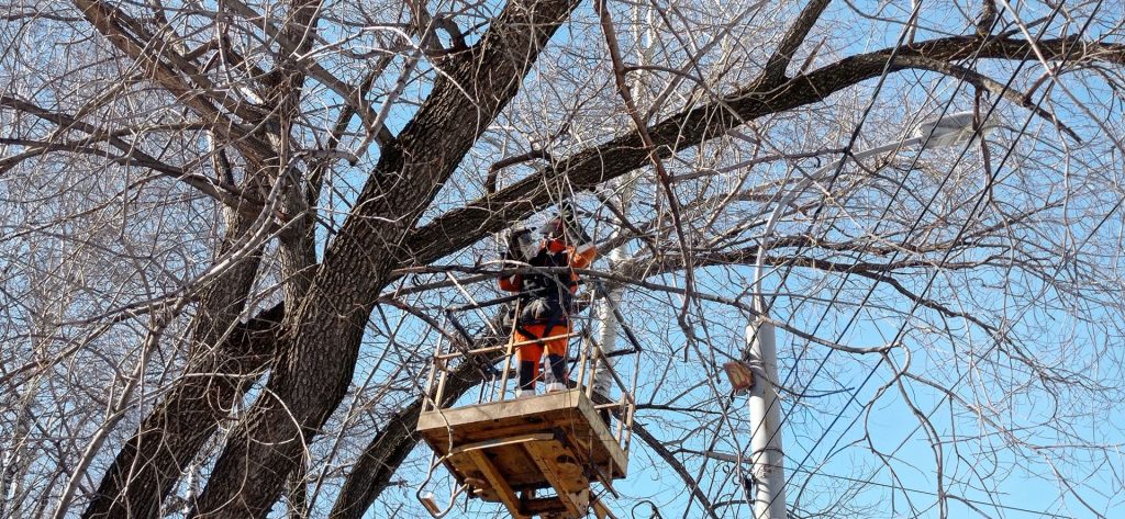 обрезка веток электрики