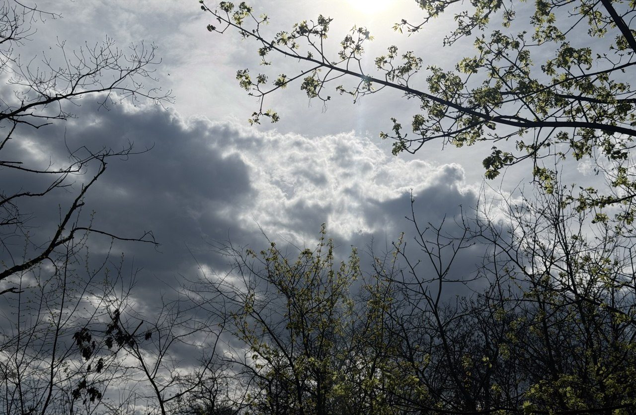 погода 09 апреля