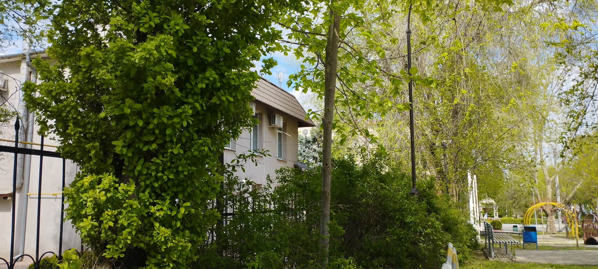 зеленые насаждения