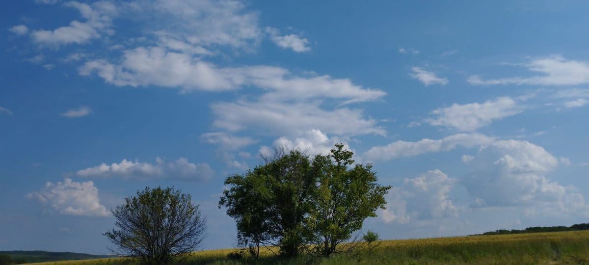 облачное небо над полем
