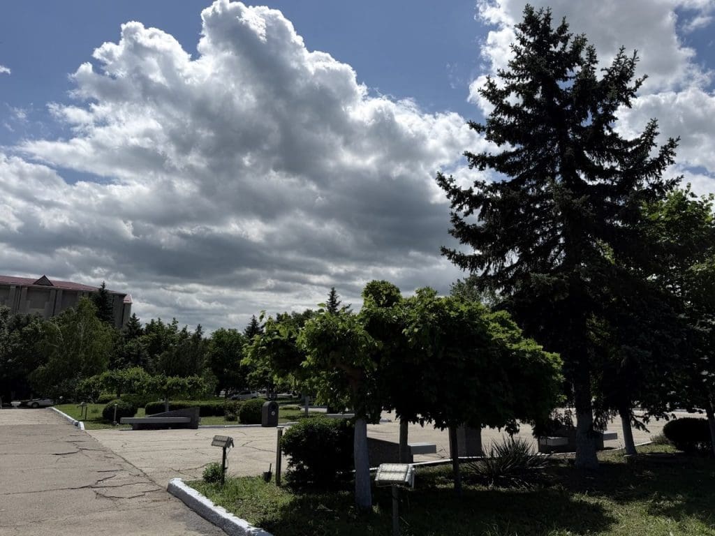 погода на неделю