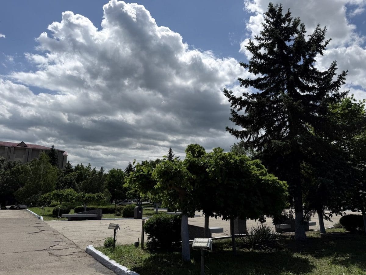 погода на неделю