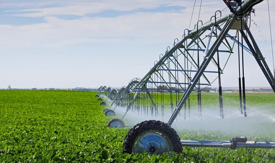 полив сточными