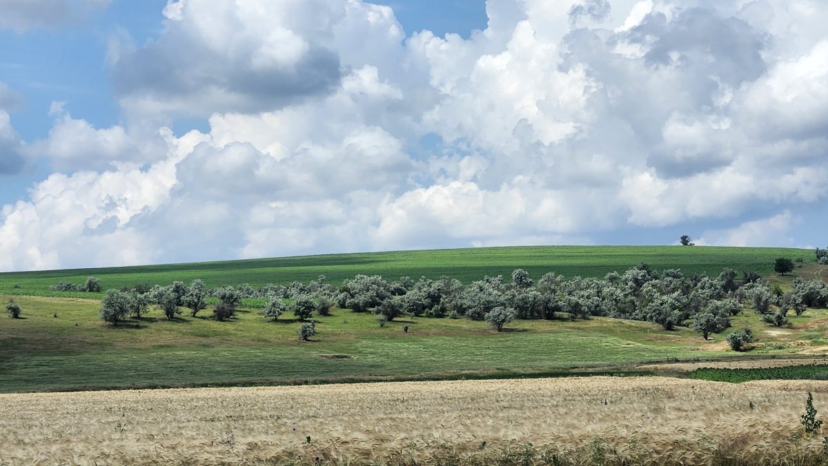 облачное небо над полем