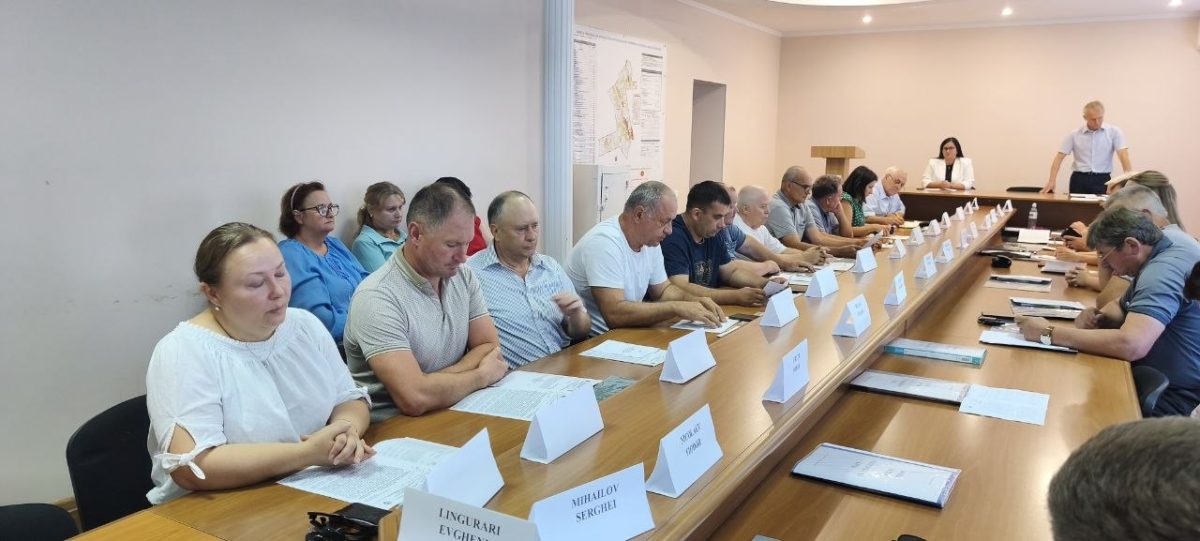 consiliul raional Basarabeasca