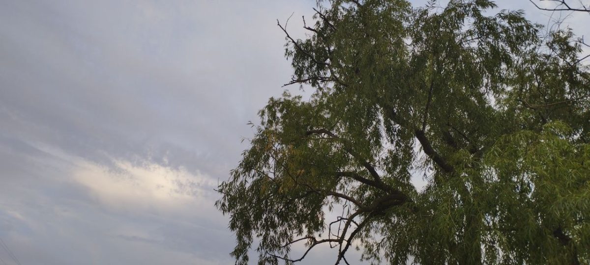 пасмурное небо