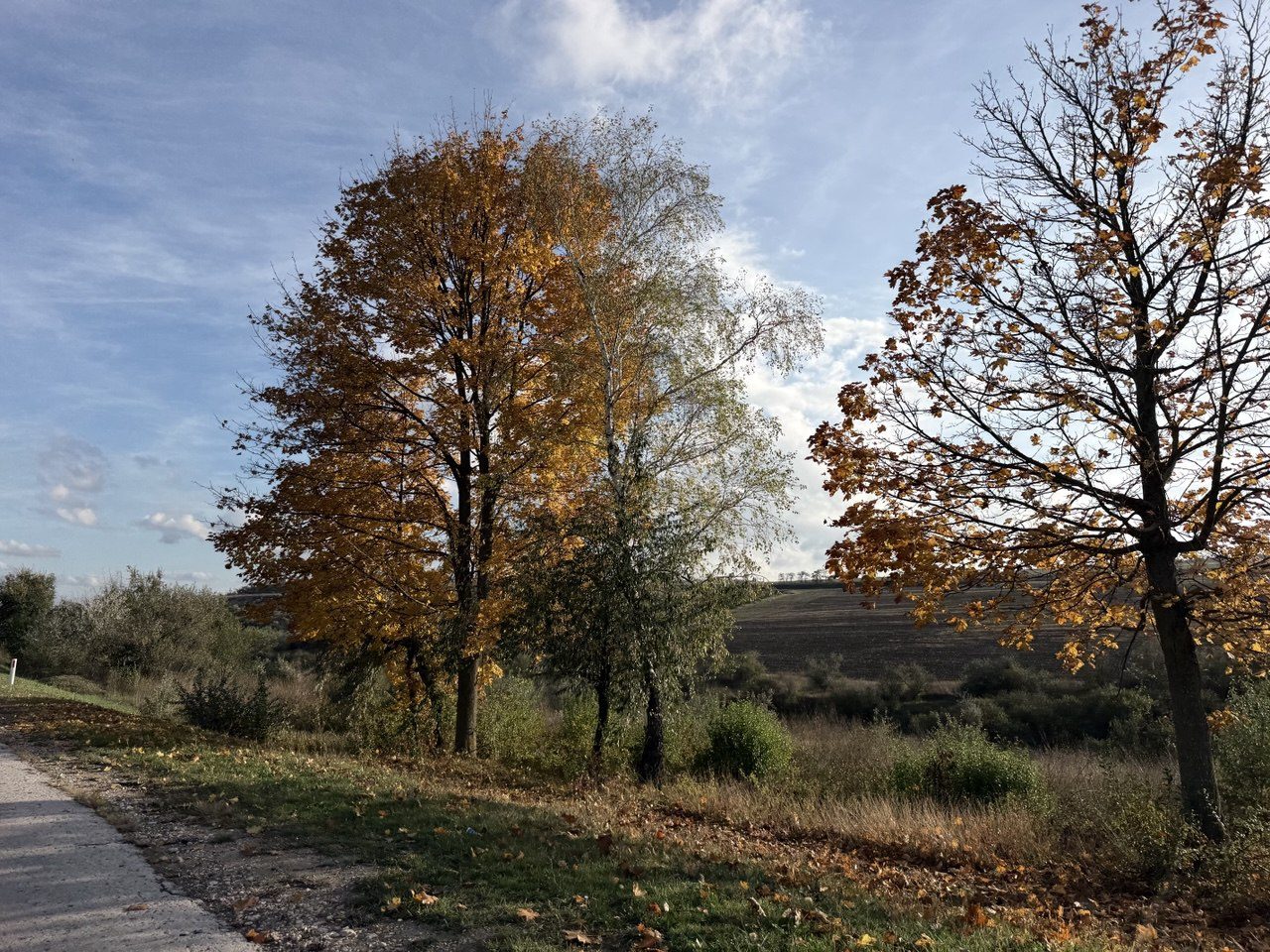 погода